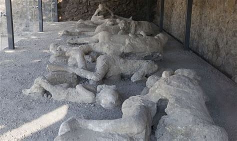 폼페이 화산 폭발 유적지 인간 화석 - 폼페이 화석 연인